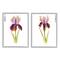 Stupell Industries Orange & Purple Iris Flower with Color Key Gray Framed Wall Art Set